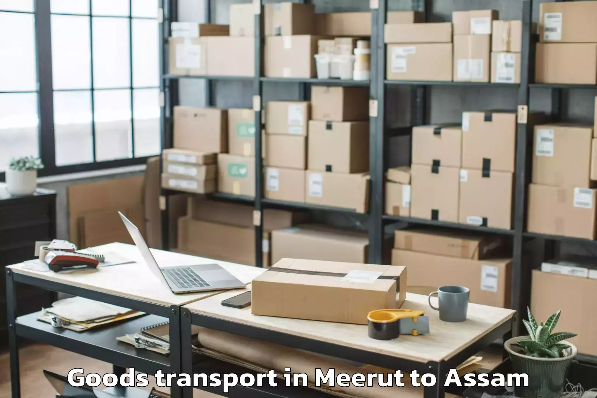 Book Meerut to Dotma Goods Transport Online